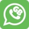 Software Logo